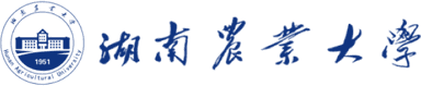 Partner 4
